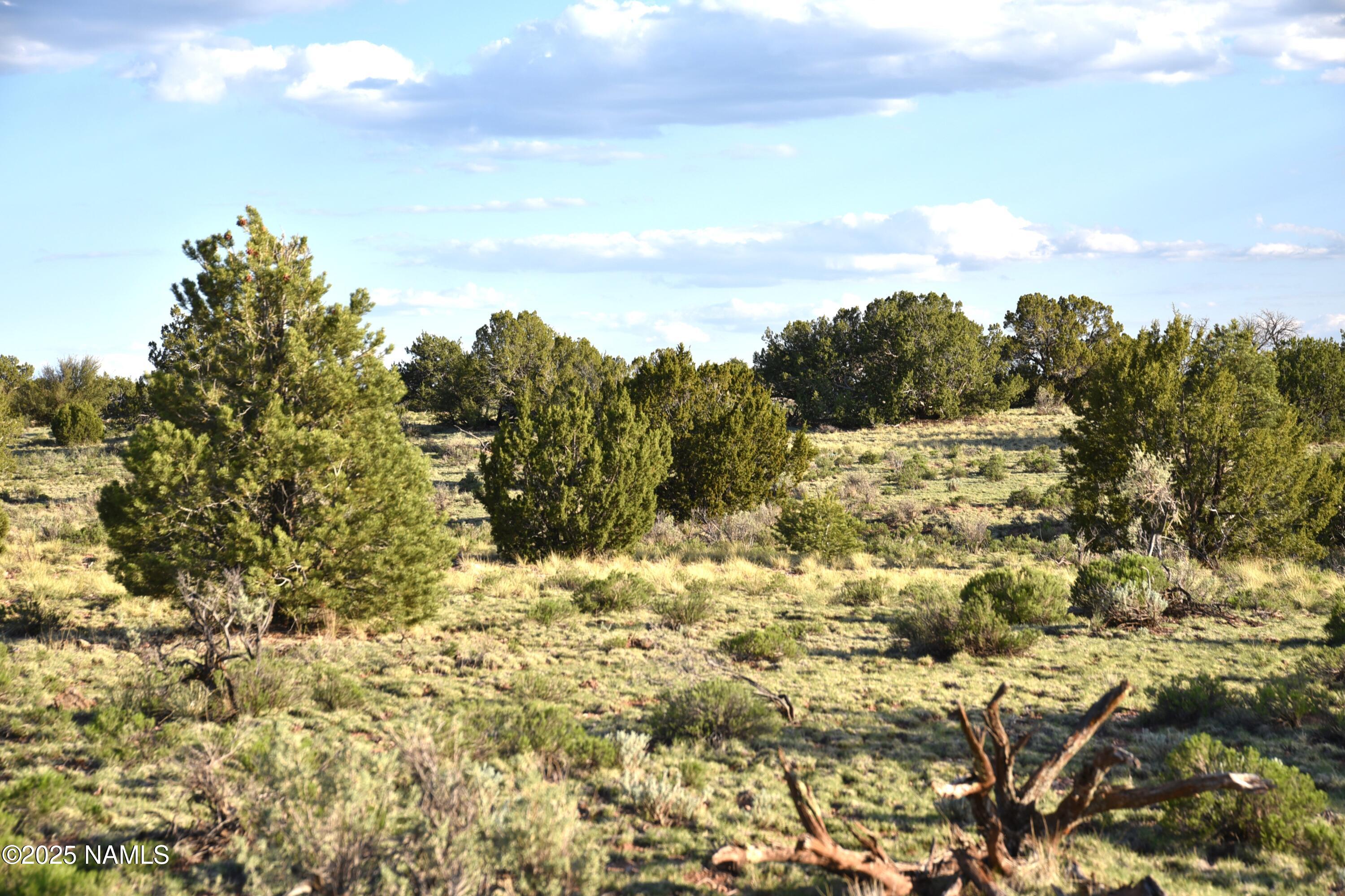 3391 East Indian Meadows Road, Unit 44 Williams, AZ 86046 - Photo 12 of 20 DSC_4269