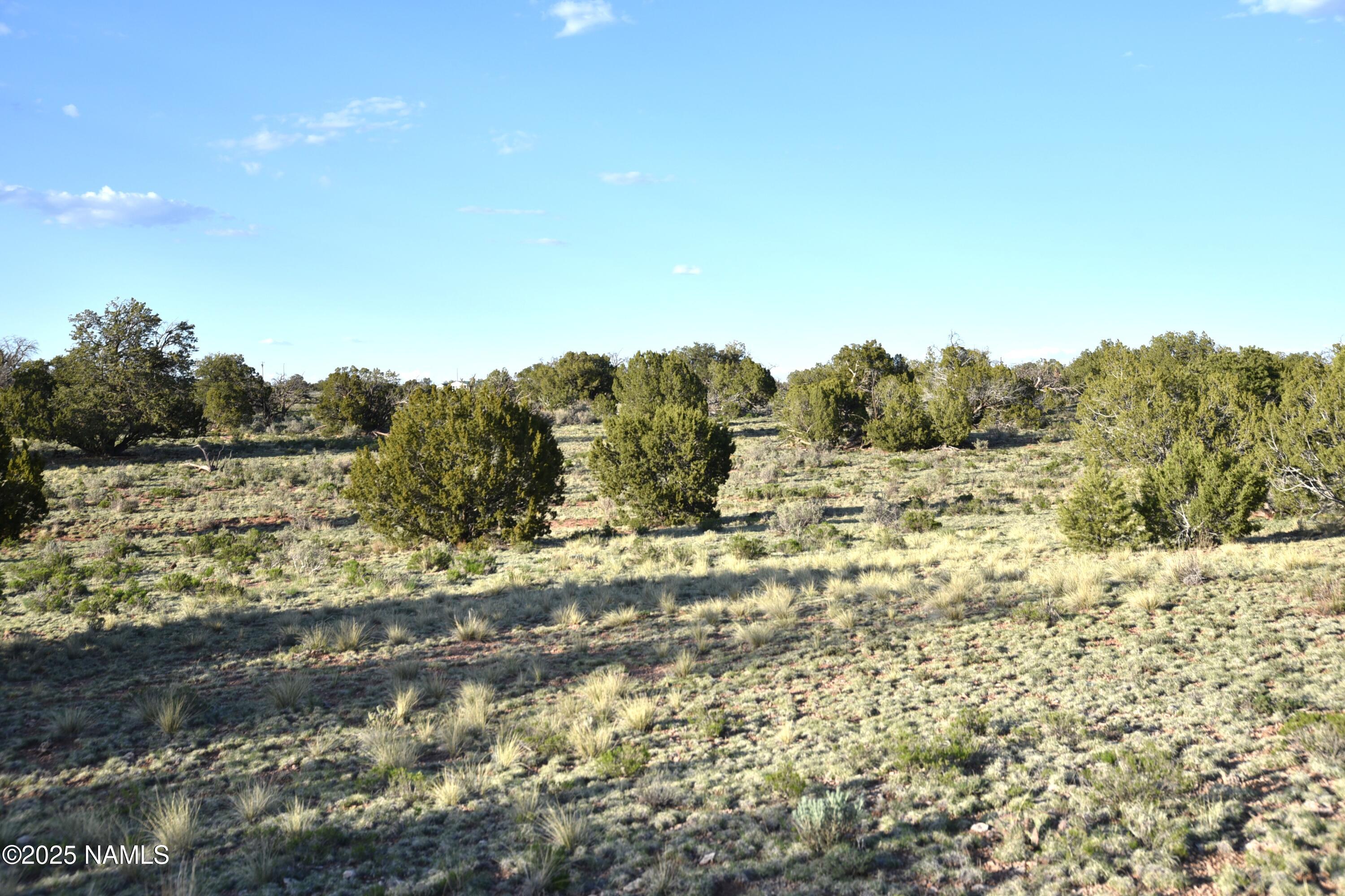 3391 East Indian Meadows Road, Unit 44 Williams, AZ 86046 - Photo 13 of 20 DSC_4271