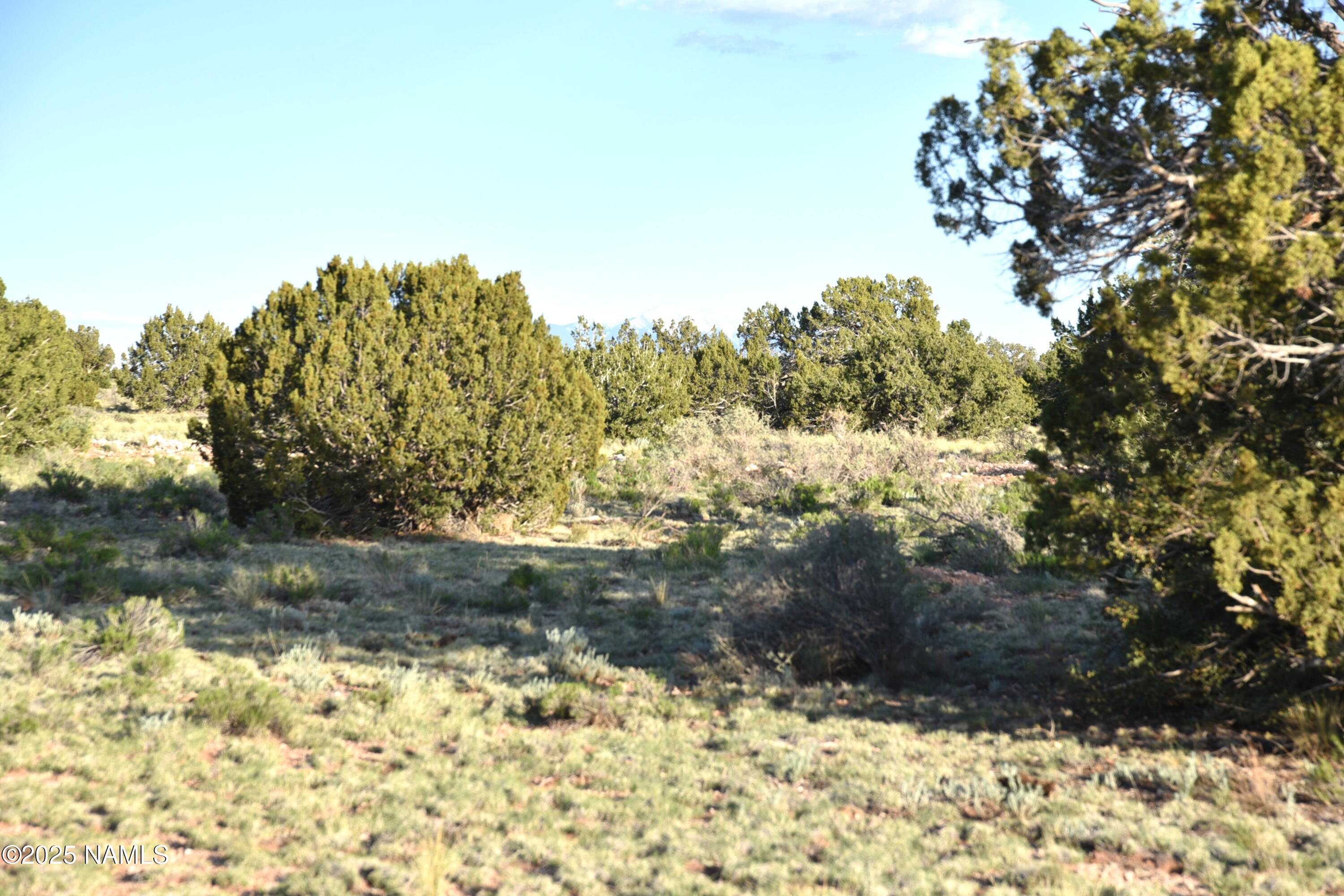 3391 East Indian Meadows Road, Unit 44 Williams, AZ 86046 - Photo 14 of 20 DSC_4272