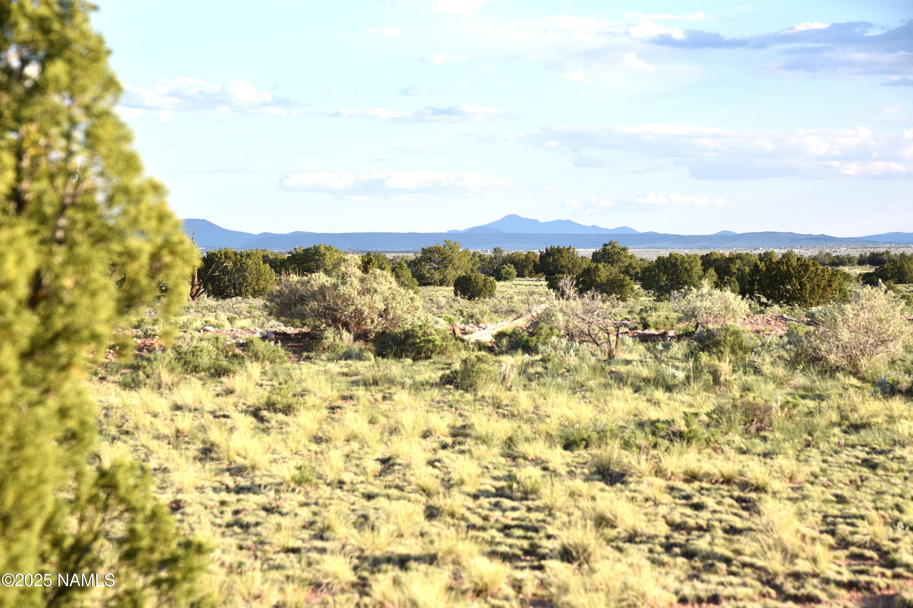 3391 East Indian Meadows Road, Unit 44 Williams, AZ 86046 - Photo 15 of 20 DSC_4273