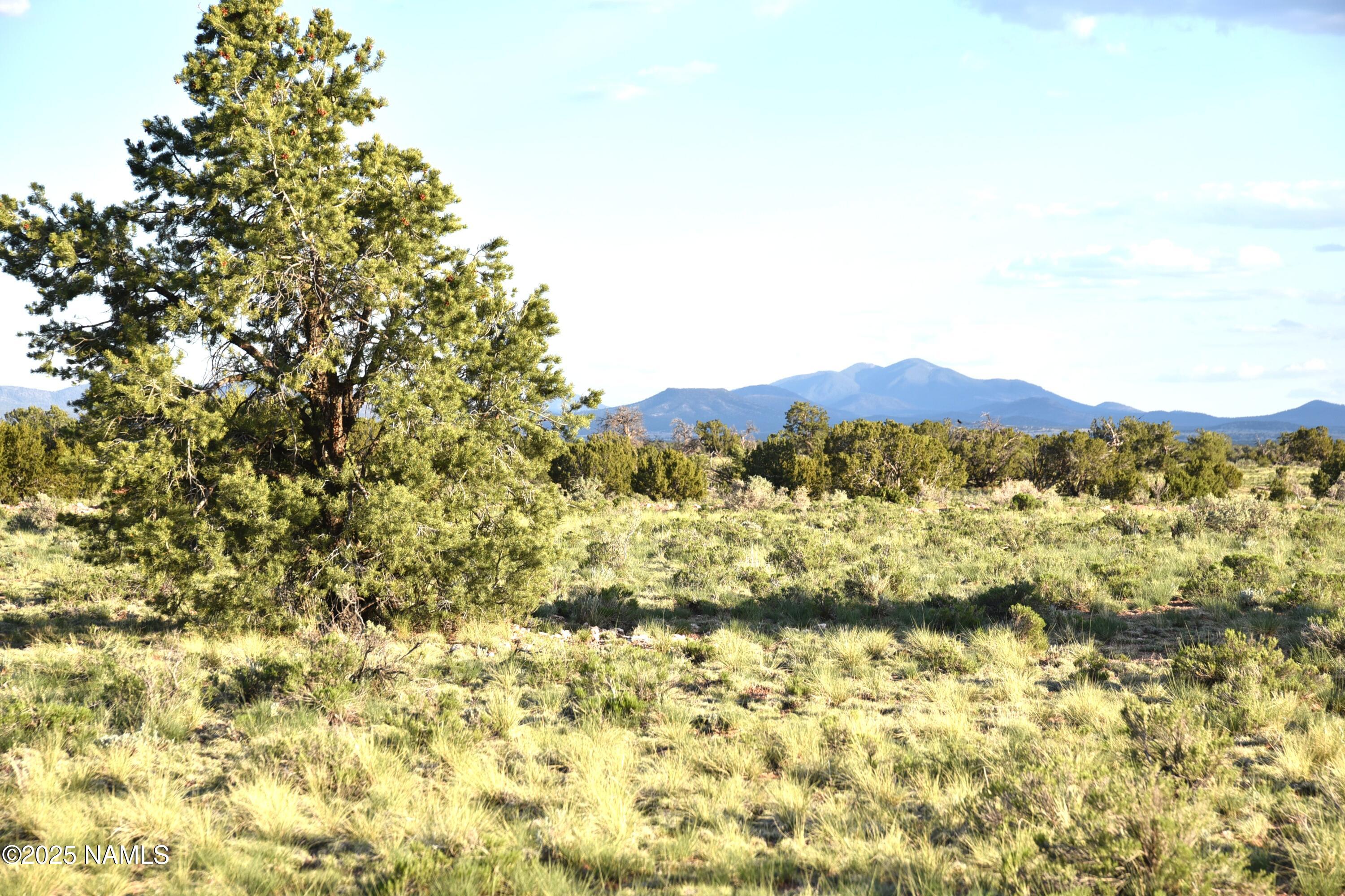 3391 East Indian Meadows Road, Unit 44 Williams, AZ 86046 - Photo 5 of 20 DSC_4276