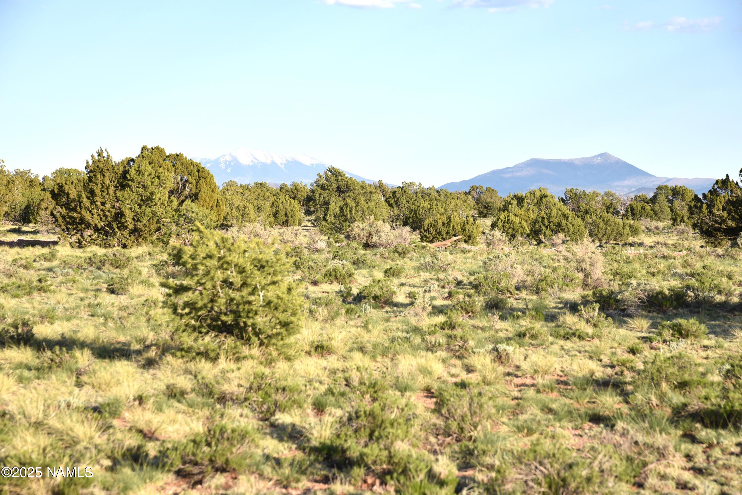3391 East Indian Meadows Road, Unit 44 Williams, AZ 86046 - Photo 6 of 20 DSC_4274