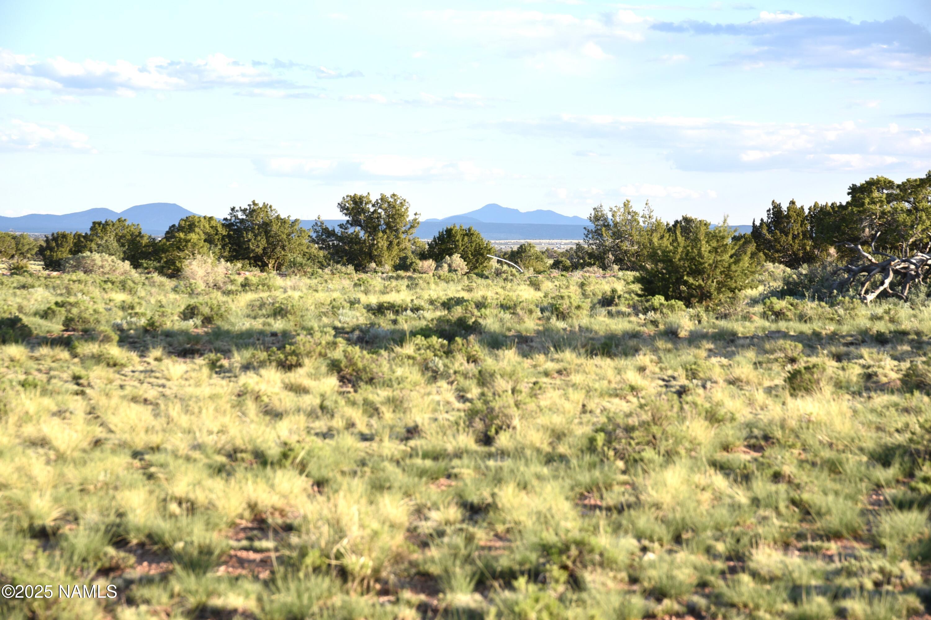 3391 East Indian Meadows Road, Unit 44 Williams, AZ 86046 - Photo 7 of 20 DSC_4275