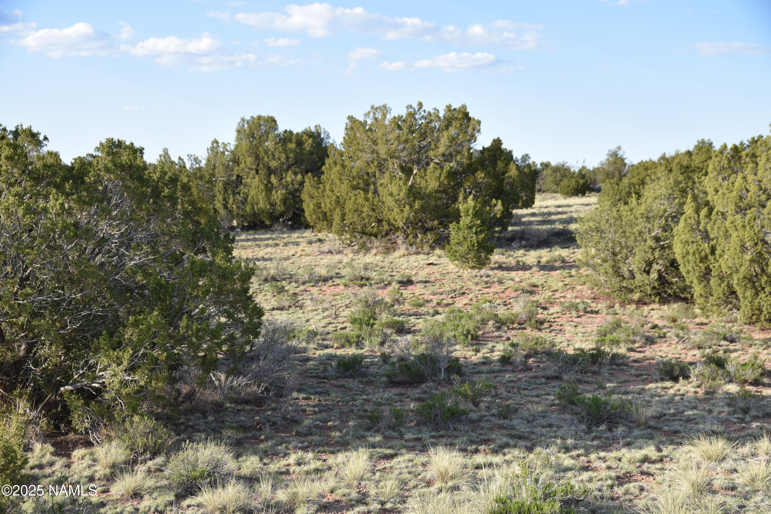 3391 East Indian Meadows Road, Unit 44 Williams, AZ 86046 - Photo 8 of 20 DSC_4261