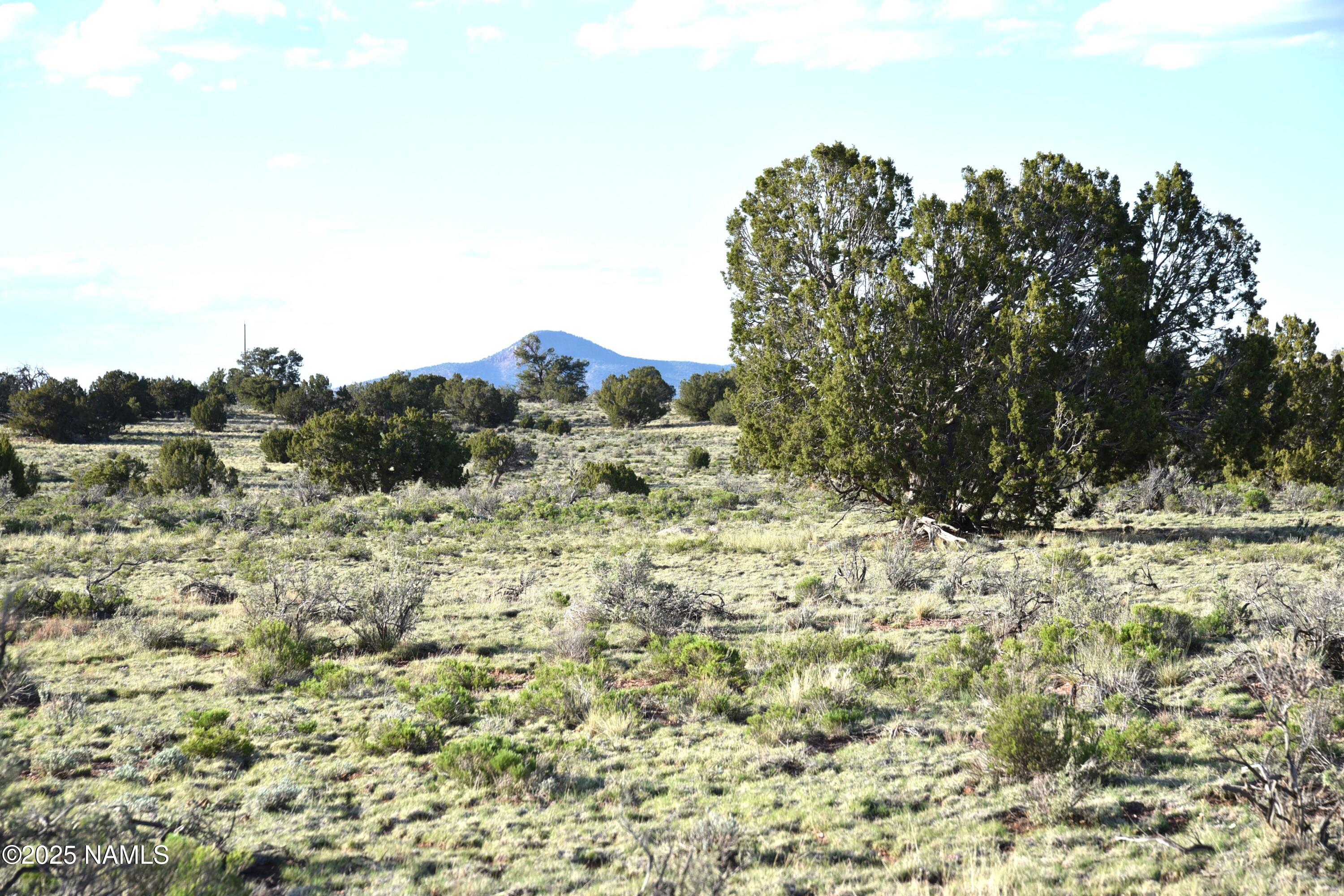 3391 East Indian Meadows Road, Unit 44 Williams, AZ 86046 - Photo 10 of 20 DSC_4264