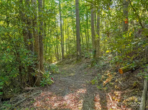 $45,000 | Lot 4 Rosewood Lane, Burnsville, NC 28714