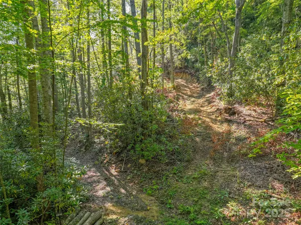 $45,000 | Lot 4 Rosewood Lane, Burnsville, NC 28714