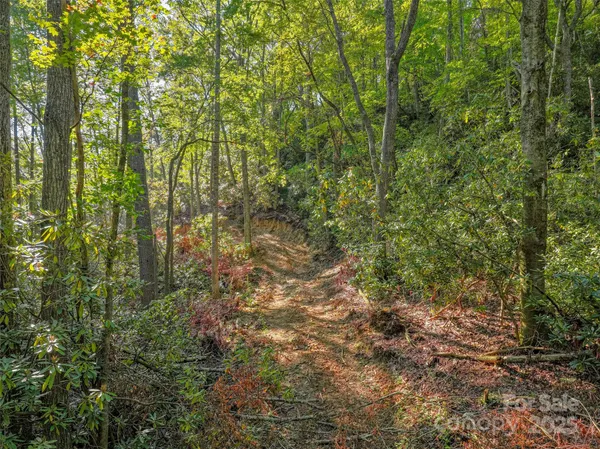 $45,000 | Lot 4 Rosewood Lane, Burnsville, NC 28714