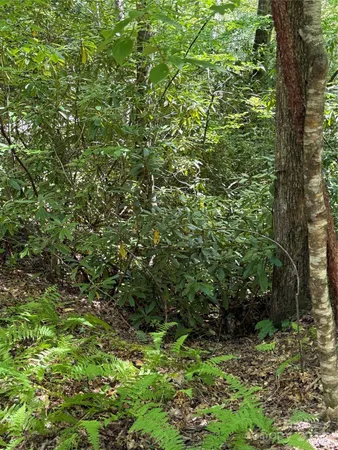 $45,000 | Lot 4 Rosewood Lane, Burnsville, NC 28714