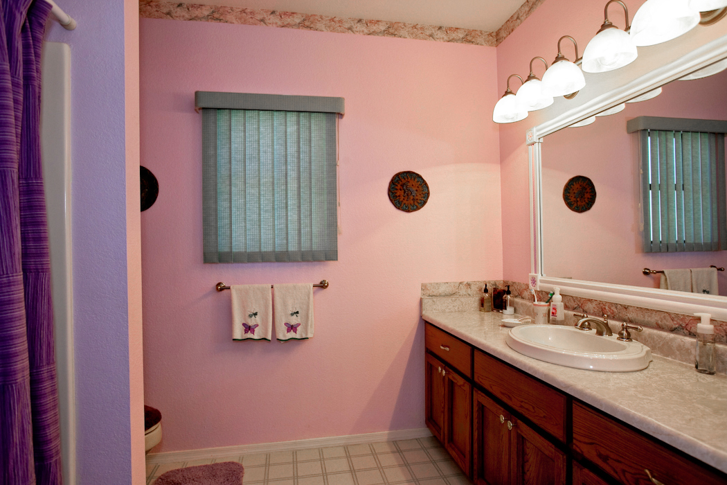 925 East Cloud Road Phoenix, AZ 85086 - Photo 12 of 20 Guest Bathroom