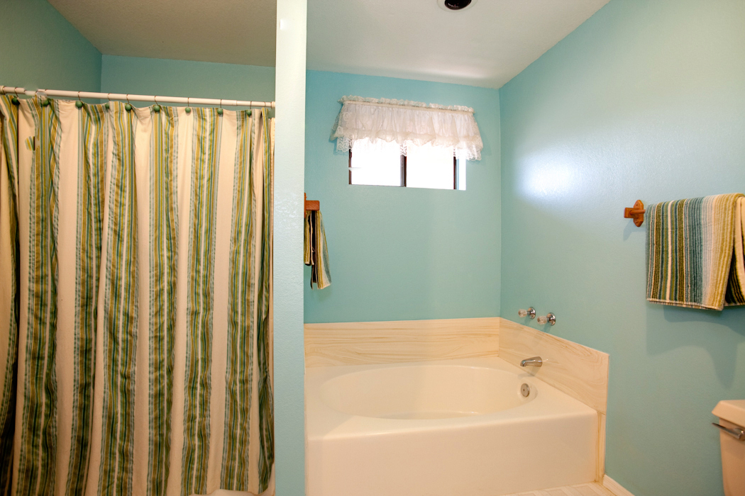 925 East Cloud Road Phoenix, AZ 85086 - Photo 9 of 20 Master Tub and Shower