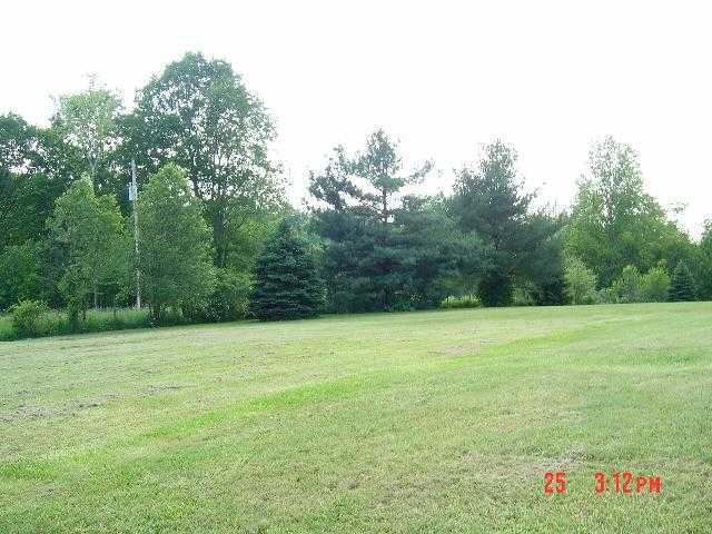 800 Bald Eagle Road Stockport, OH 43787 - Photo 4 of 18