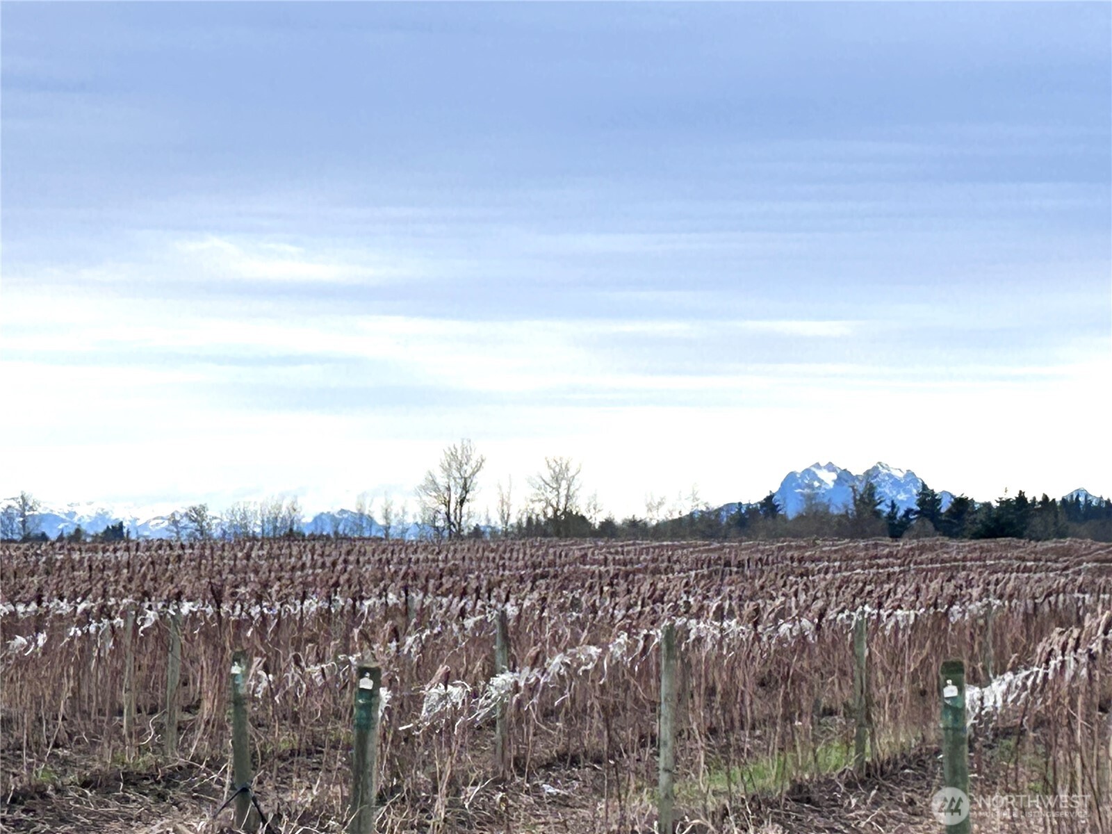 17-xx Hampton Road Everson, WA 98247 - Photo 3 of 9