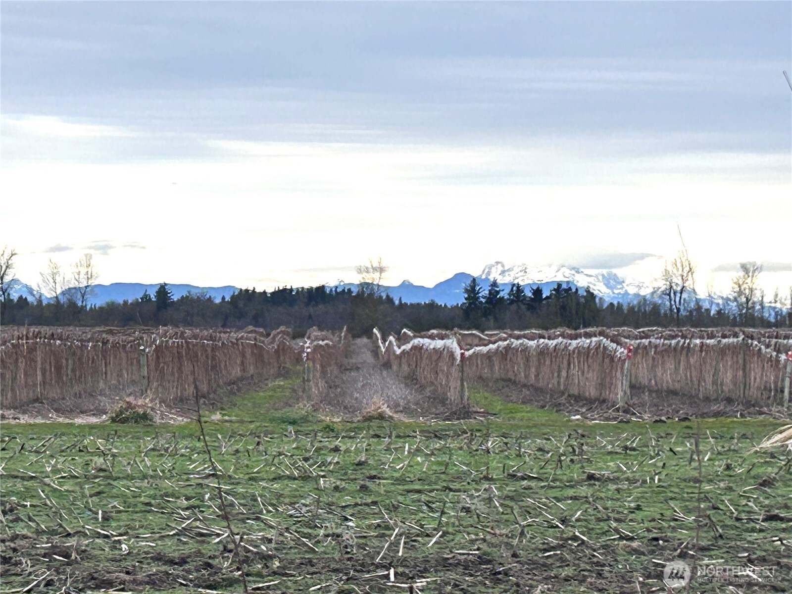 17-xx Hampton Road Everson, WA 98247 - Photo 7 of 9