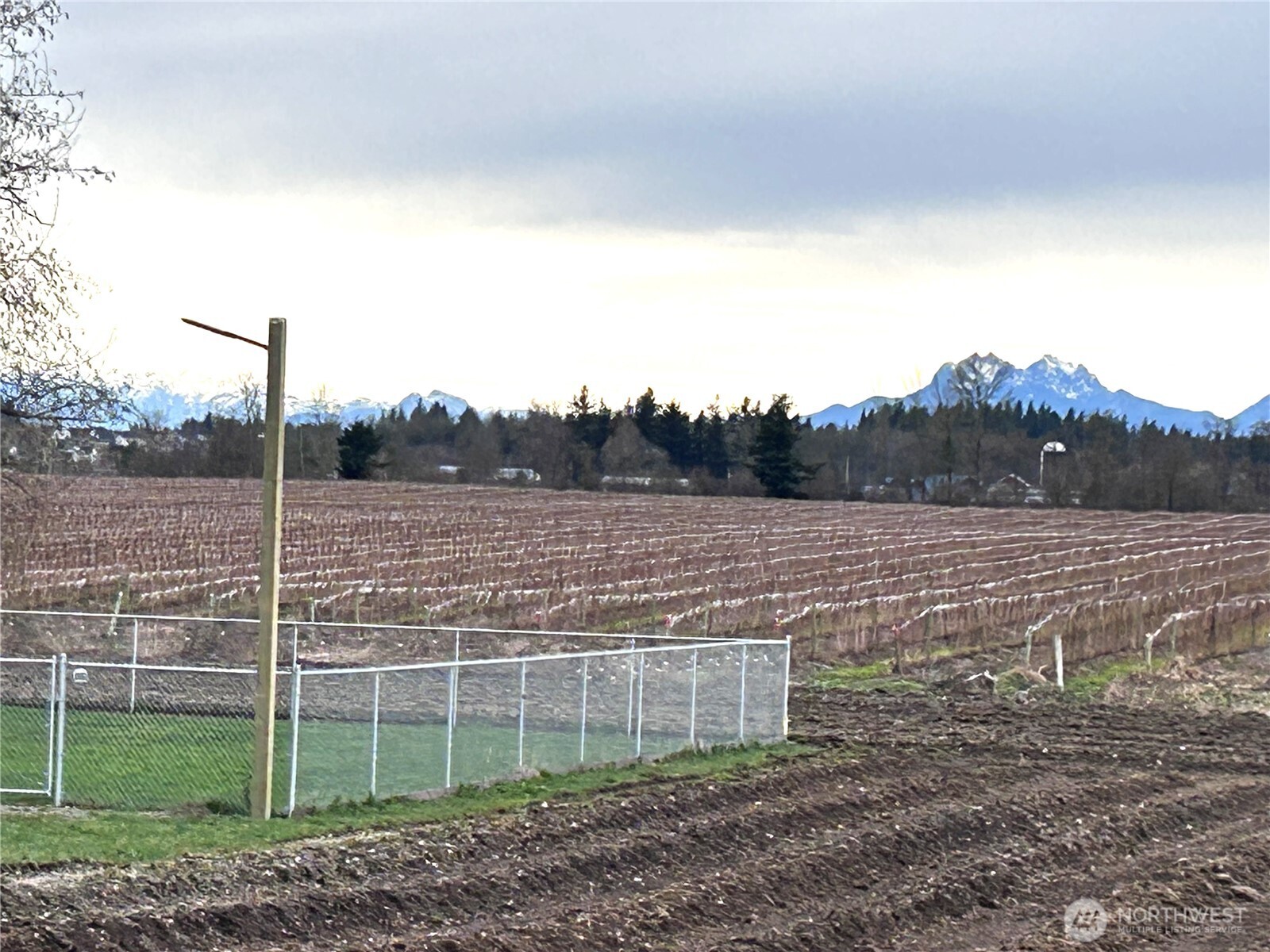 1766 Hampton Road Everson, WA 98247 - Photo 8 of 16 a view of a field