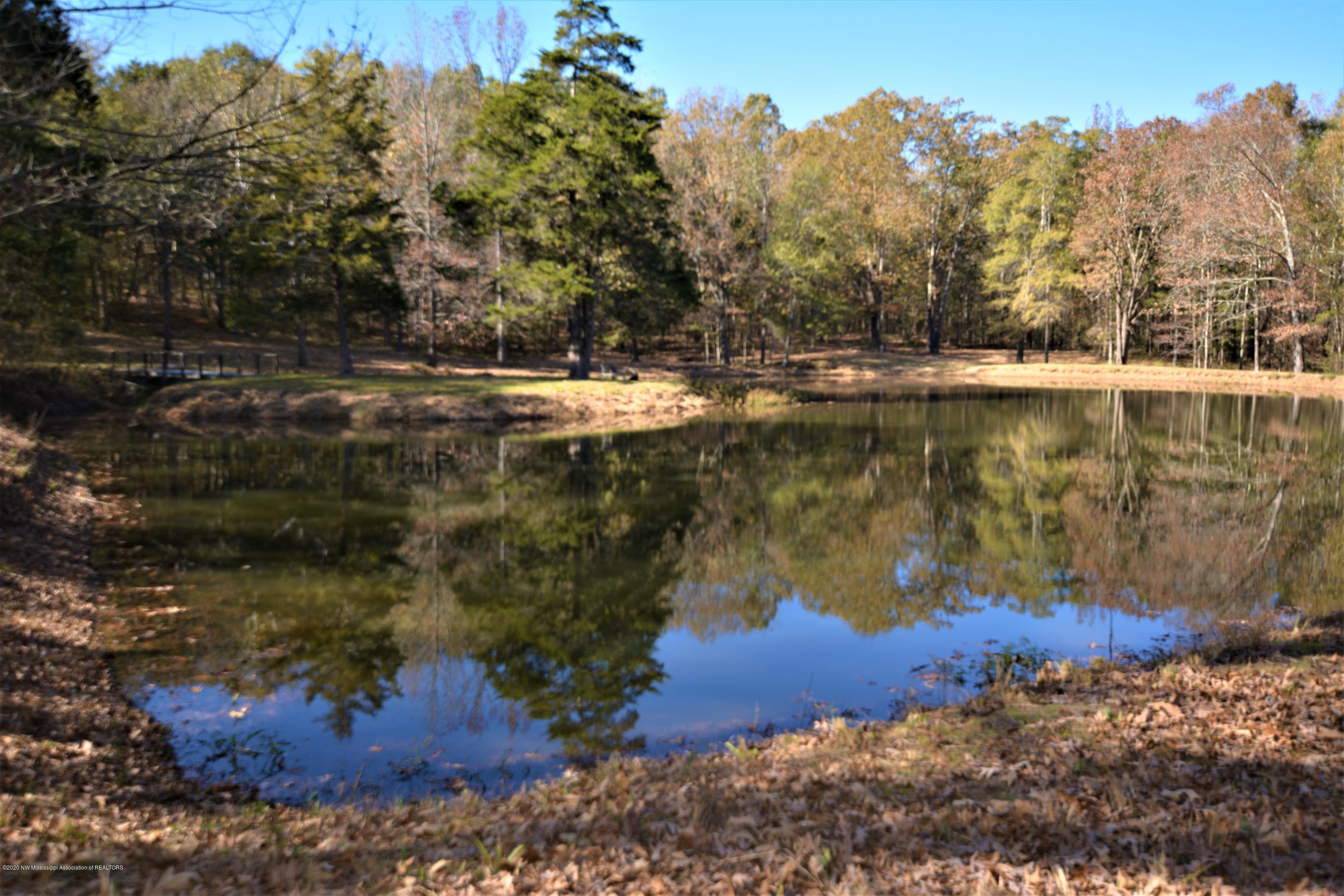 4720 Byhalia Road Hernando, MS 38632 - Photo 2 of 49 Pond