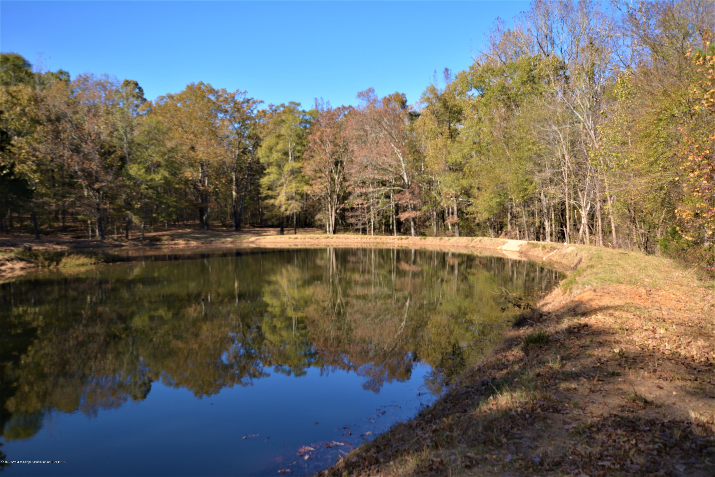 4720 Byhalia Road Hernando, MS 38632 - Photo 3 of 49 Acres behind Pond
