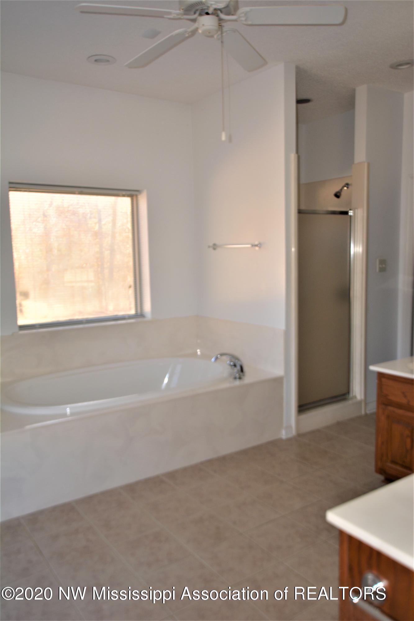 4720 Byhalia Road Hernando, MS 38632 - Photo 38 of 49 Master Bath