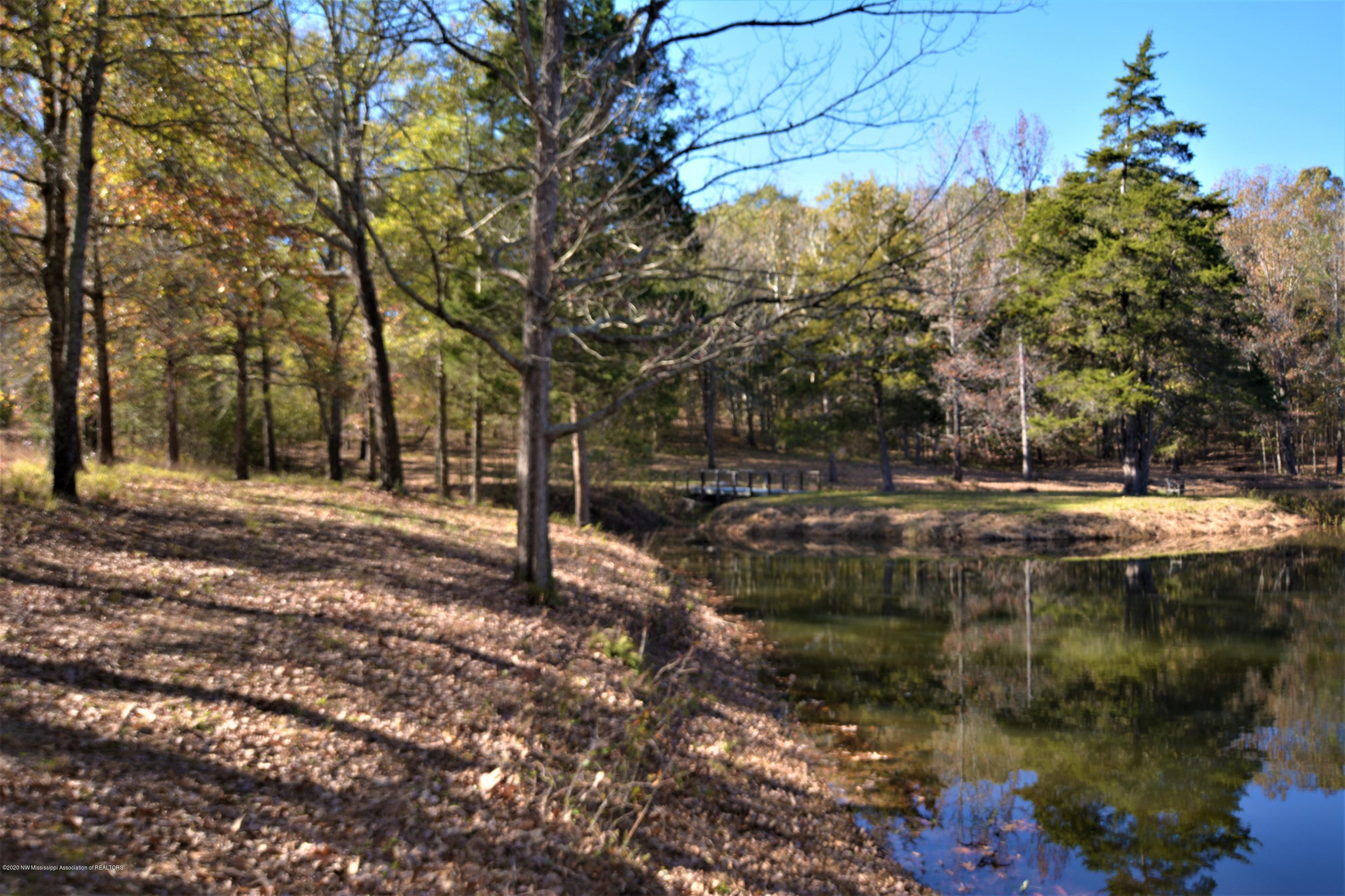 4720 Byhalia Road Hernando, MS 38632 - Photo 46 of 49 Pond