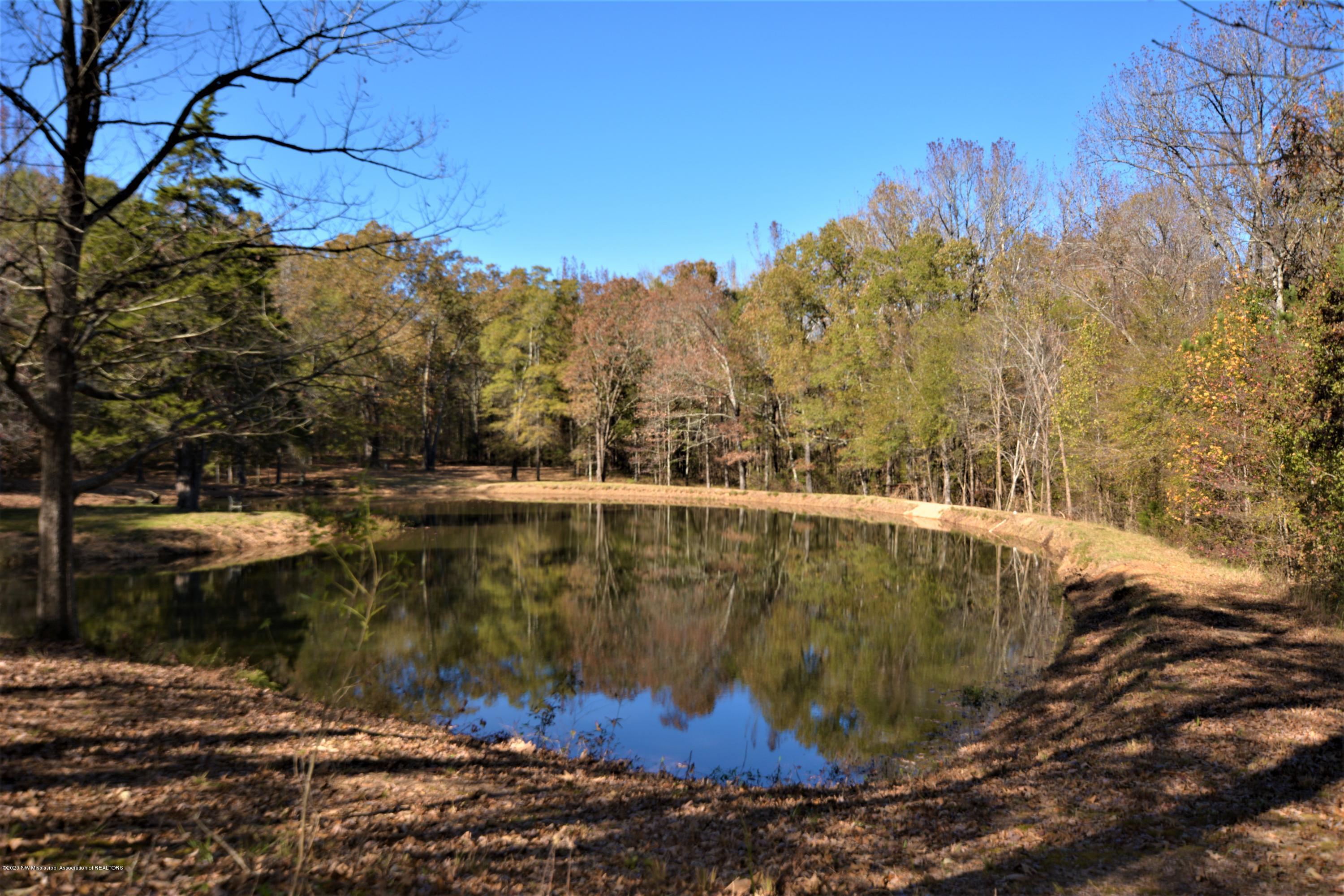 4720 Byhalia Road Hernando, MS 38632 - Photo 48 of 49 Pond