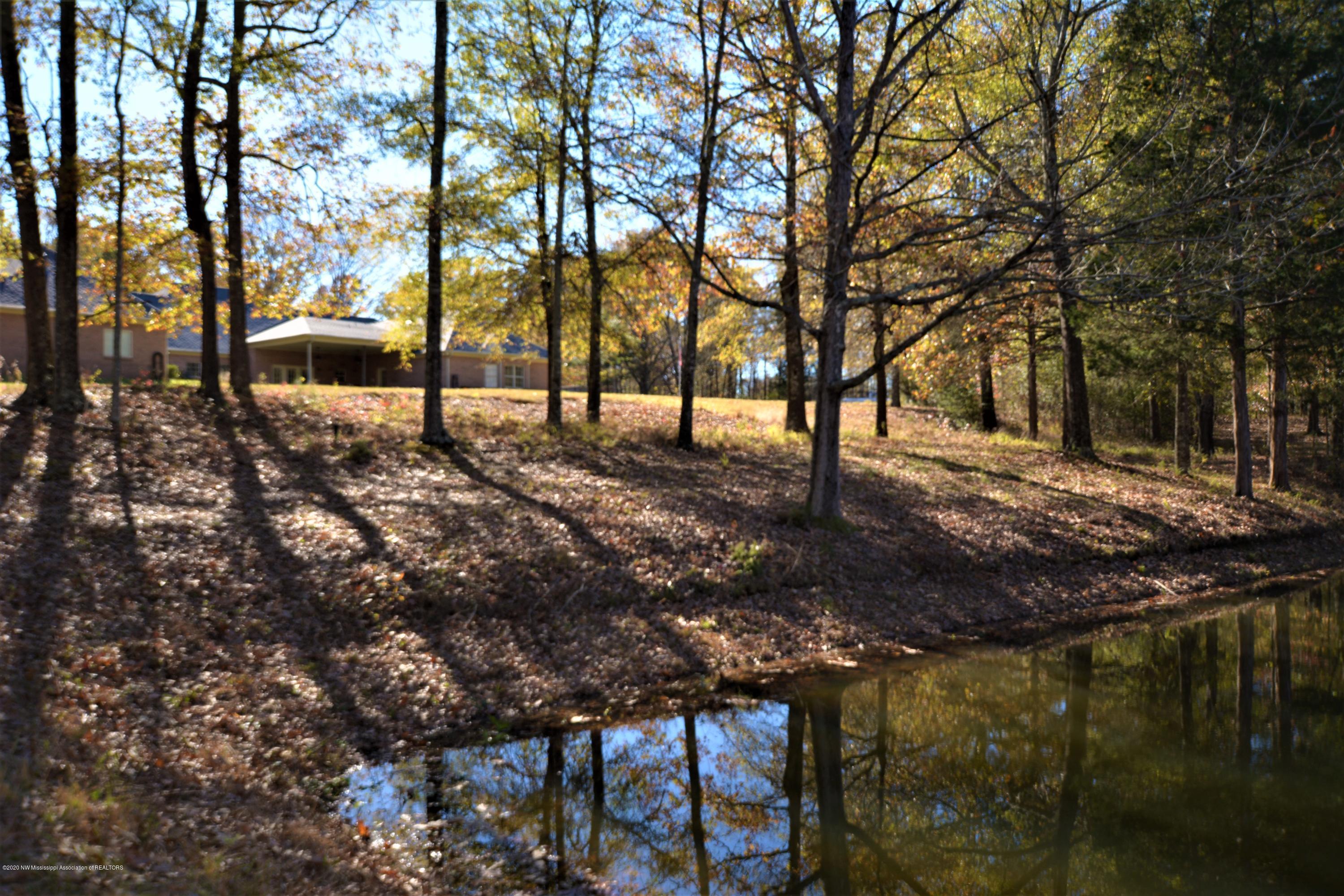 4720 Byhalia Road Hernando, MS 38632 - Photo 49 of 49 Pond - View of Back of Home