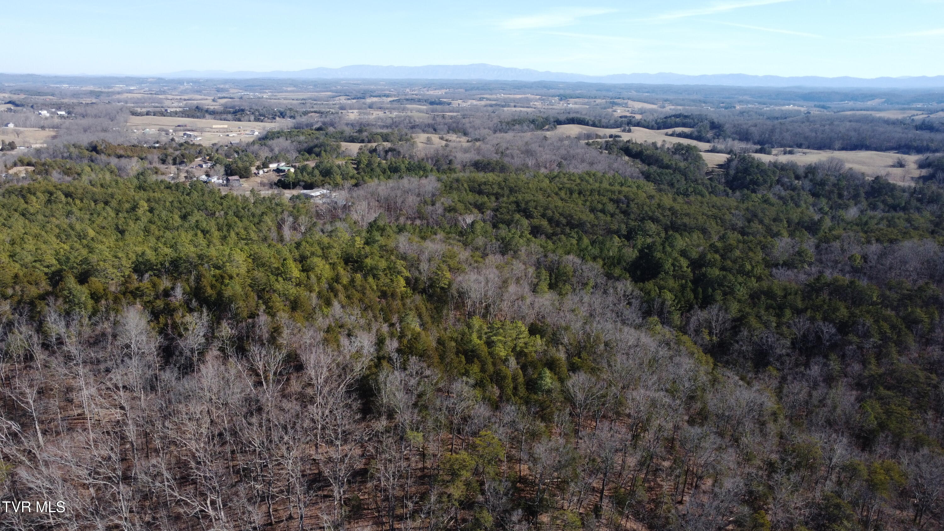 3380 Democrat Road Mohawk, TN 37810 - Photo 42 of 61 DJI_0365
