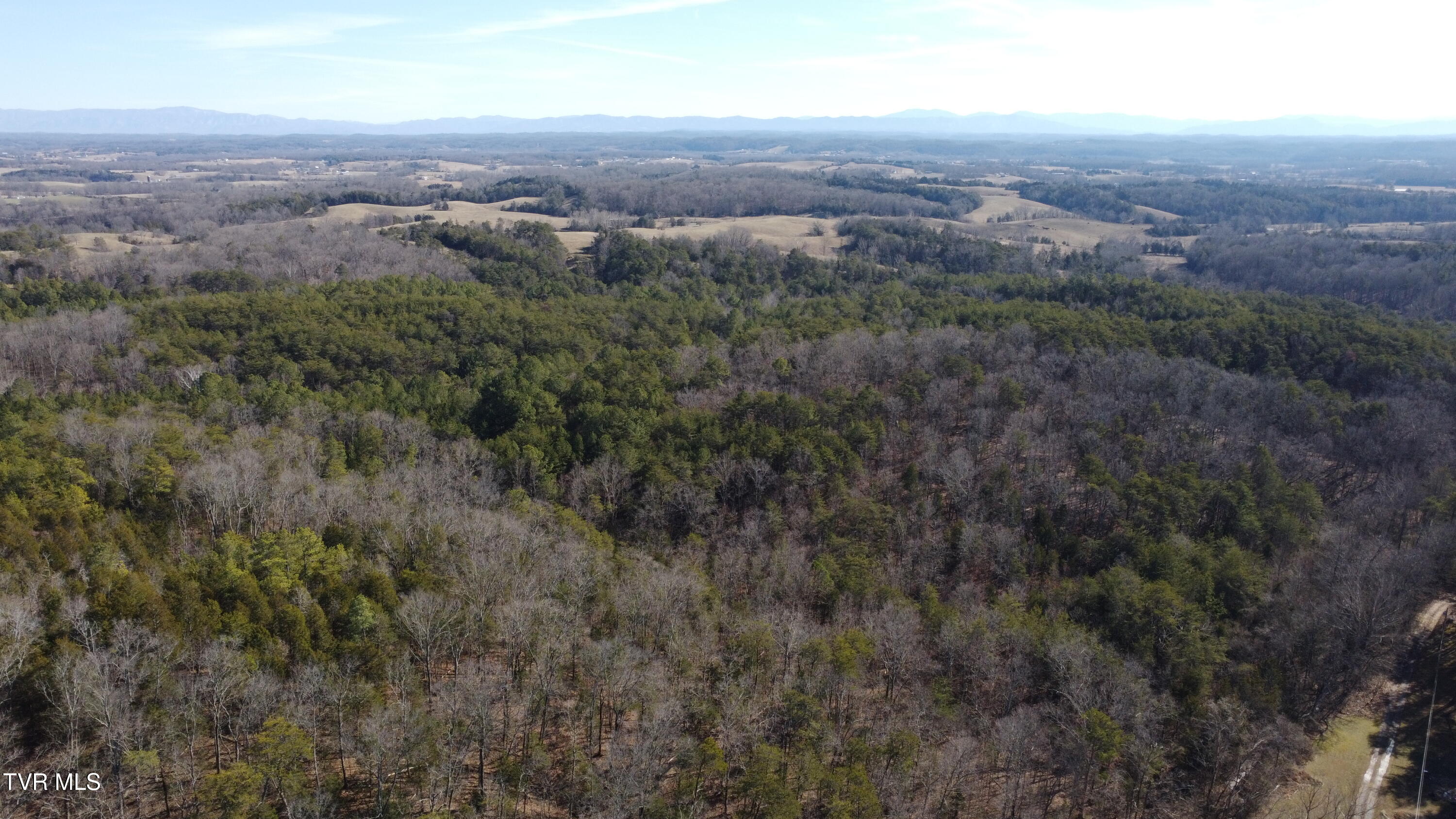 3380 Democrat Road Mohawk, TN 37810 - Photo 49 of 61 DJI_0372