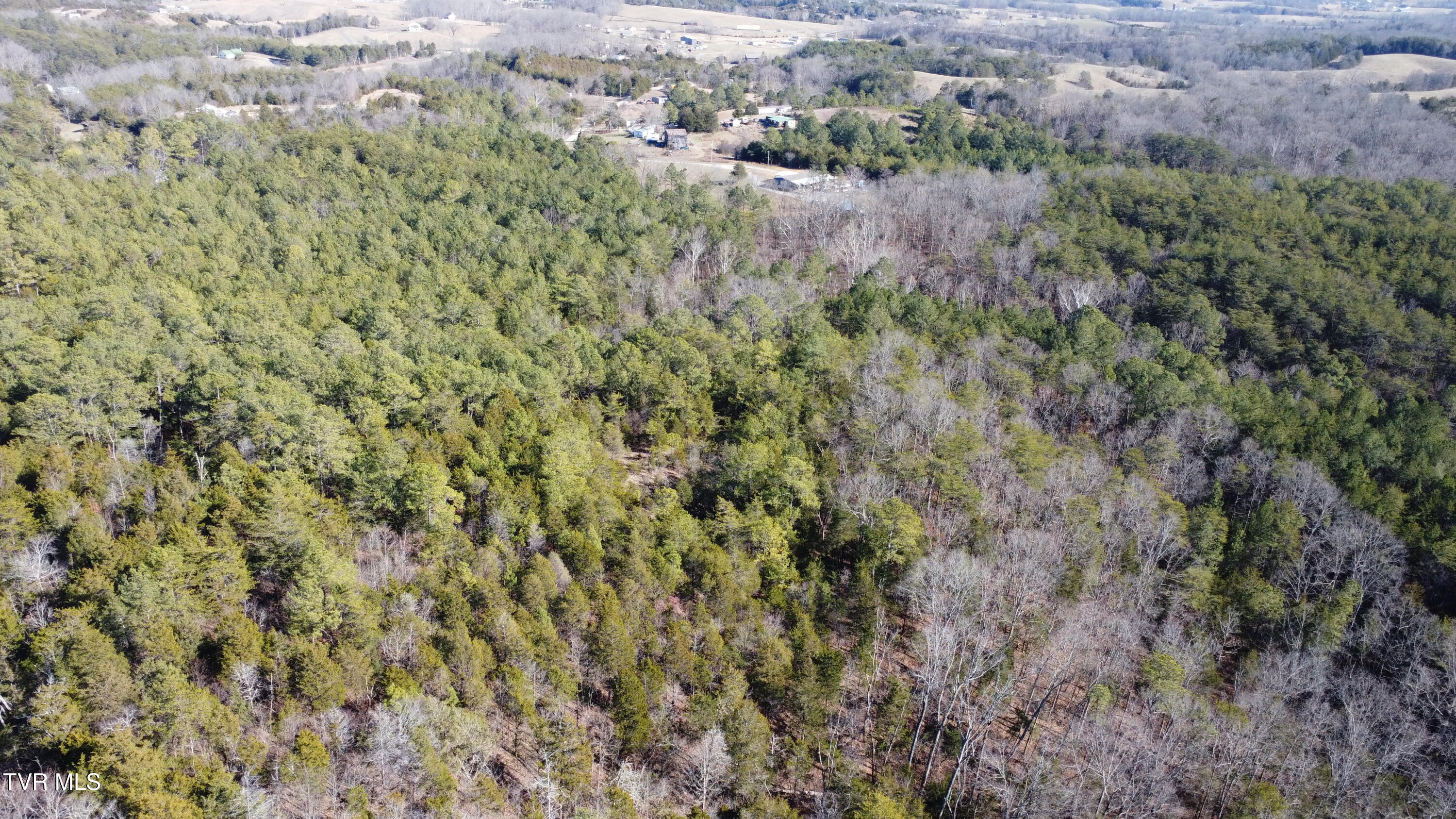 3380 Democrat Road Mohawk, TN 37810 - Photo 56 of 61 DJI_0379
