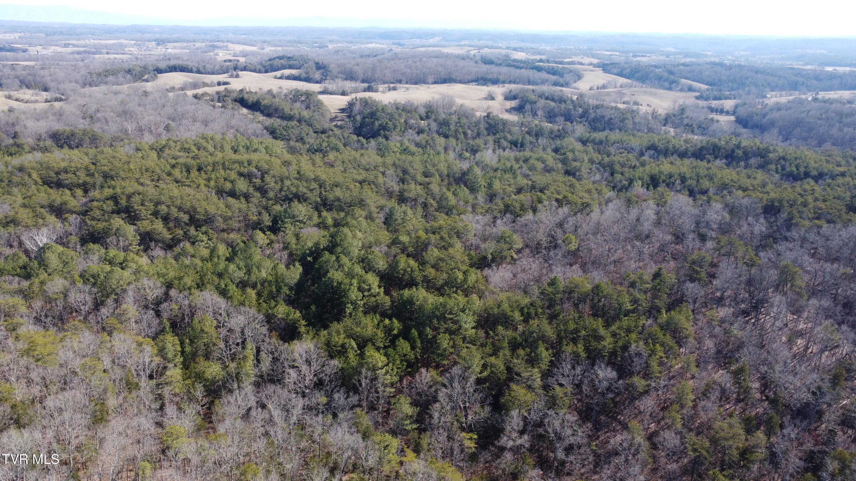 3380 Democrat Road Mohawk, TN 37810 - Photo 57 of 61 DJI_0380