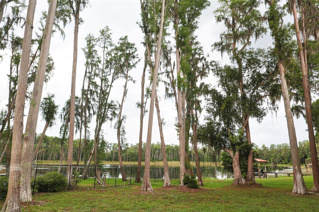 730 Crystal Lake Road Lutz, FL 33548 - Photo 13 of 35