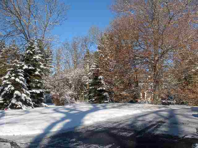 4 Crumitie Road Colonie, NY 12211 - Photo 4 of 12 Photo 4