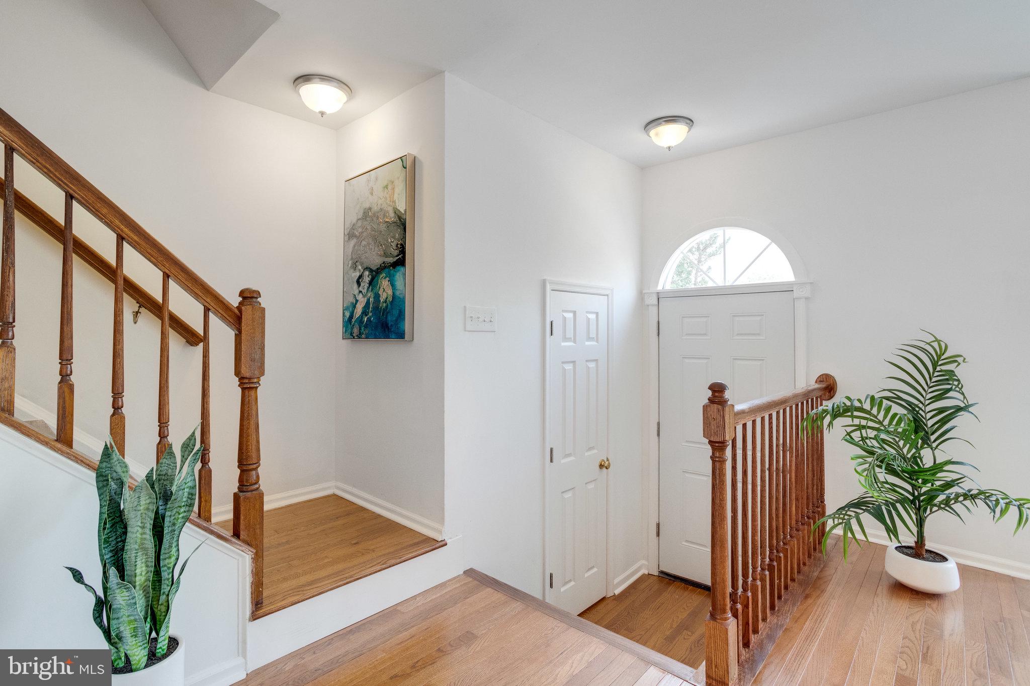 8619 Beech Hollow Lane Springfield, VA 22153 - Photo 5 of 57