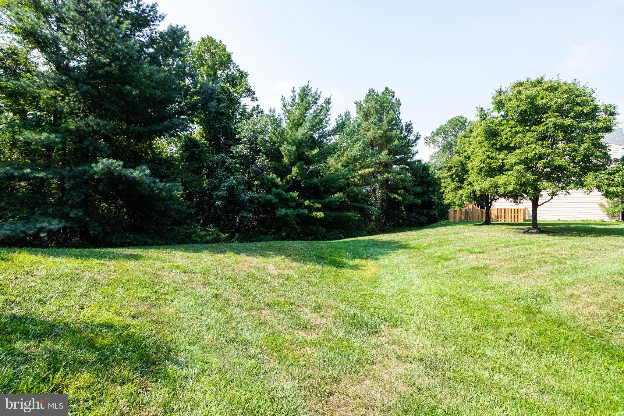 8619 Beech Hollow Lane Springfield, VA 22153 - Photo 57 of 57