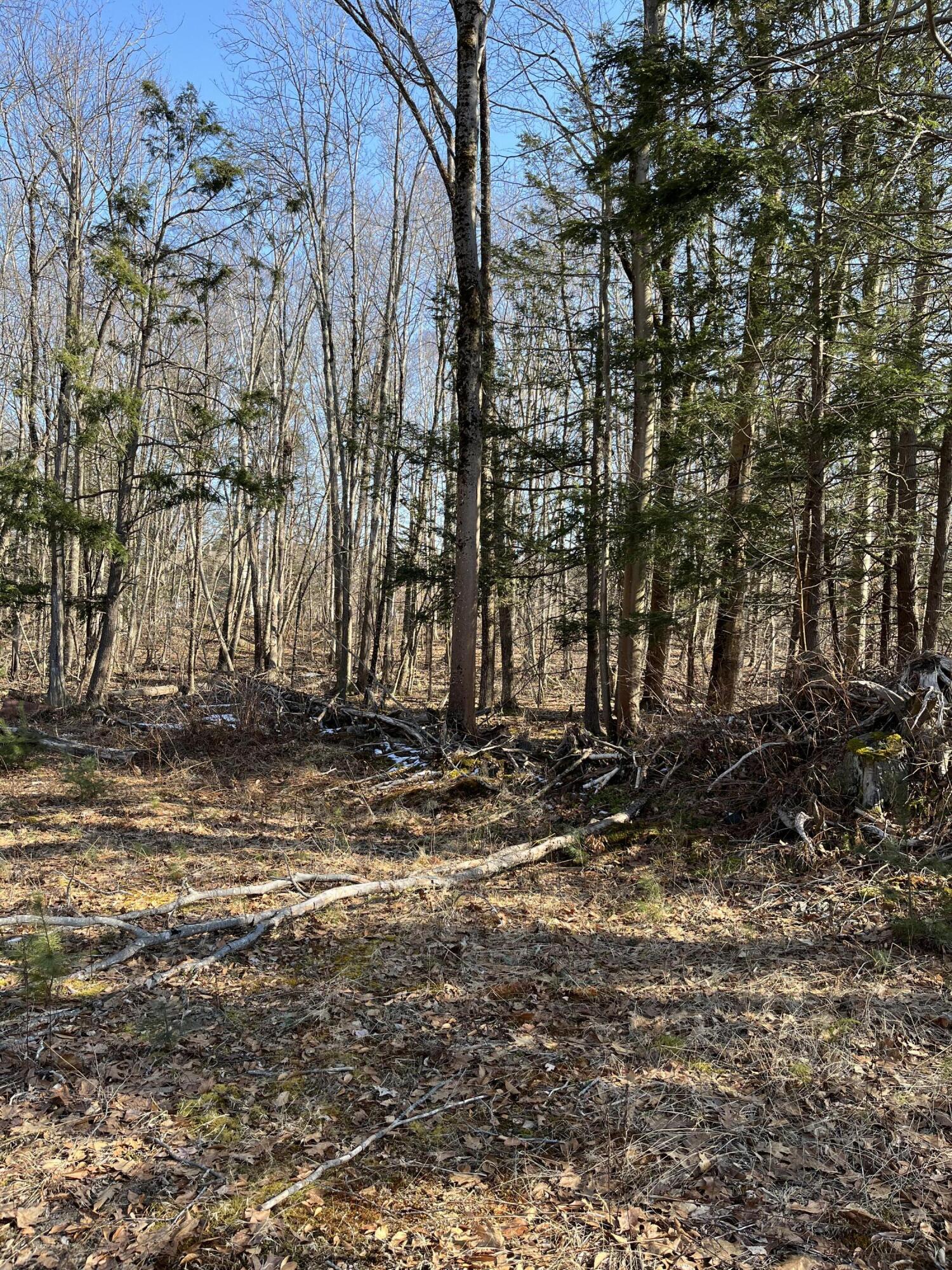 0 State Road Eliot, ME 03903 - Photo 5 of 8 IMG_5094