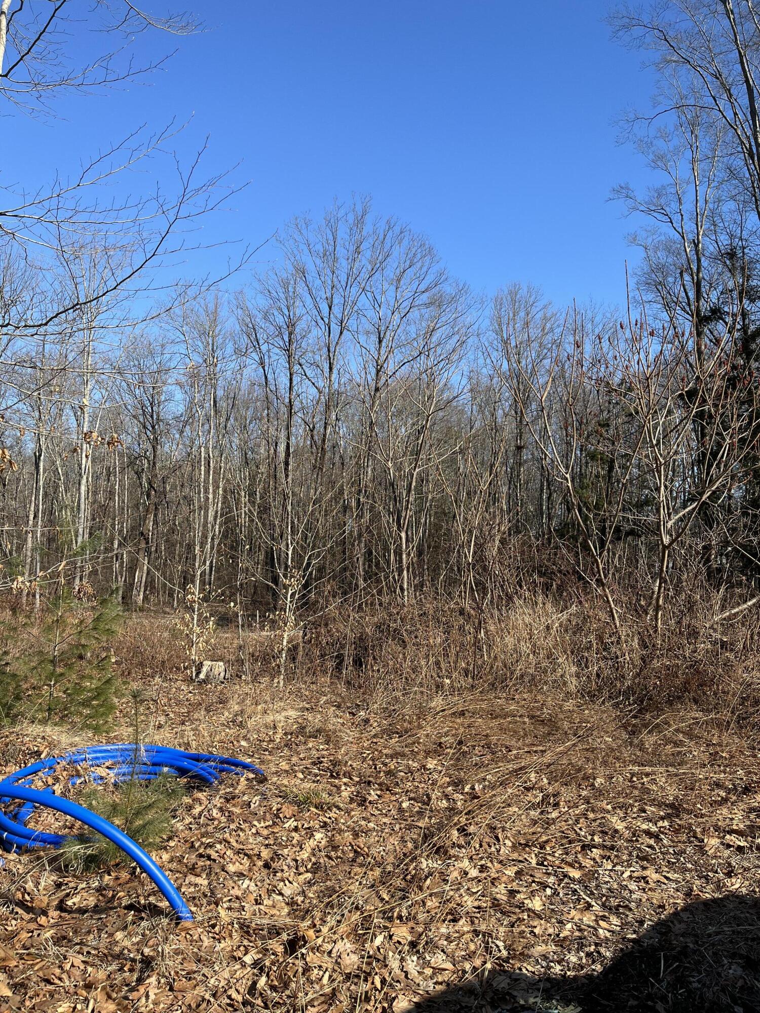 0 State Road Eliot, ME 03903 - Photo 6 of 8 Water line installed