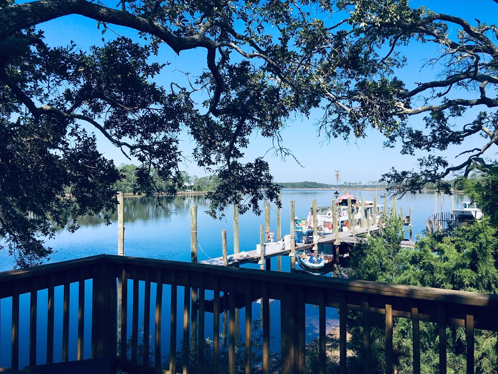 815 3 Rivers Road Carrabelle, FL 32322 - Photo 5 of 33