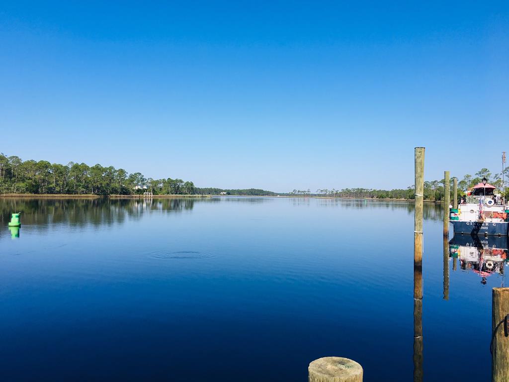 815 3 Rivers Road Carrabelle, FL 32322 - Photo 6 of 33