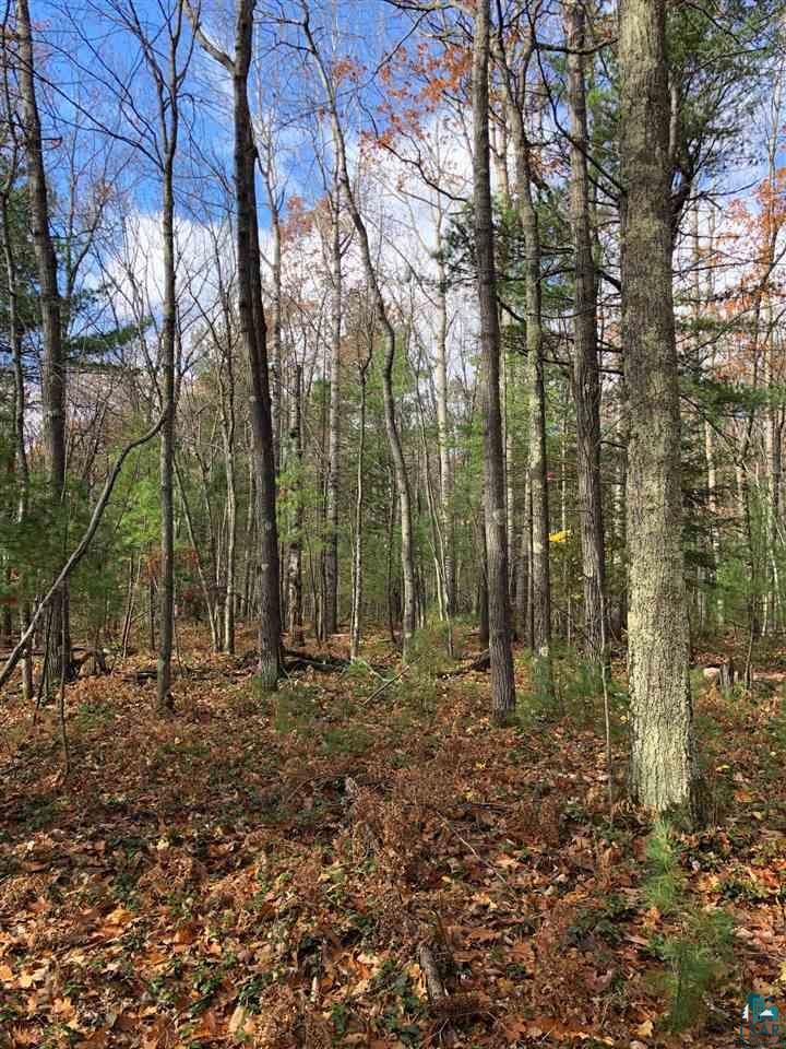 0 South Maple Hill Road Washburn, WI 54891 - Photo 1 of 5 Gallery Image 1