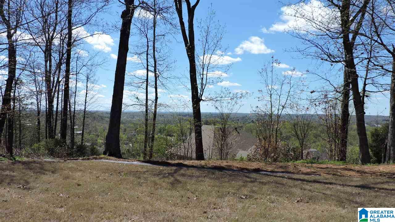 5614 Summit Pointe Pinson, AL 35126 - Photo 5 of 31