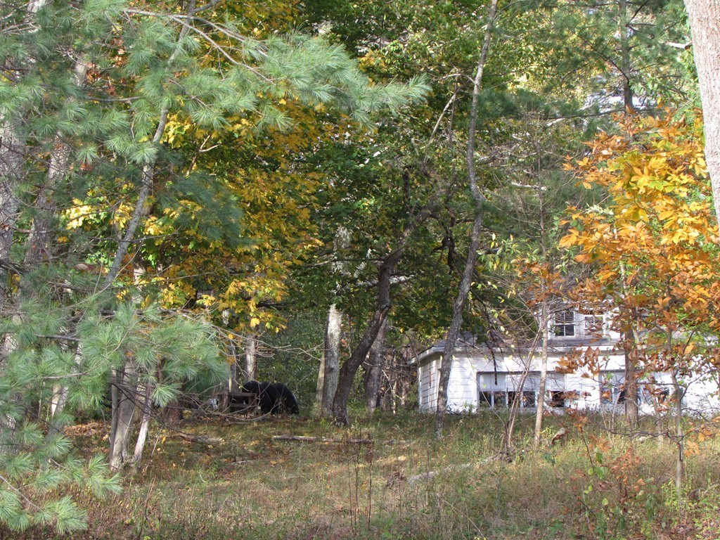 381 Old Colony Road Norton, MA 02766 - Photo 3 of 4 Gallery Image 3