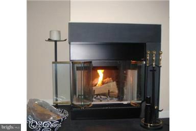 9732 Reese Farm Road, Unit 9732 Owings Mills, MD 21117 - Photo 2 of 30 Wood Burning Fireplace in Living Room