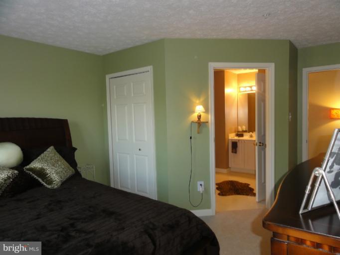 9732 Reese Farm Road, Unit 9732 Owings Mills, MD 21117 - Photo 18 of 30 2nd Bedroom