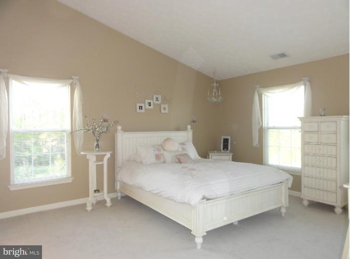 9732 Reese Farm Road, Unit 9732 Owings Mills, MD 21117 - Photo 24 of 30 Bedroom (Master)
