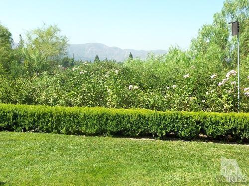 807 Woodgrove Road Fillmore, CA 93015 - Photo 18 of 21 Additional Photo