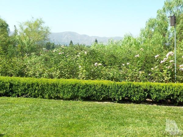 807 Woodgrove Road Fillmore, CA 93015 - Photo 21 of 21 Additional Photo