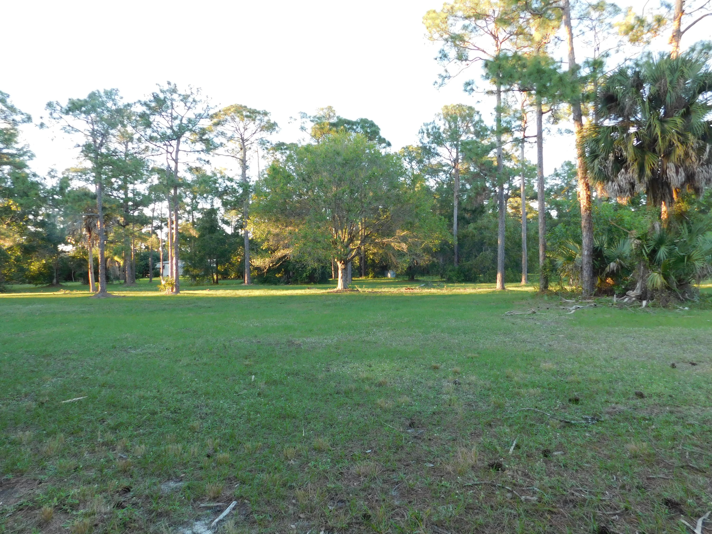 13387 17th Road North Loxahatchee Groves, FL 33470 - Photo 1 of 14 5 BEAUTIFUL ACRES