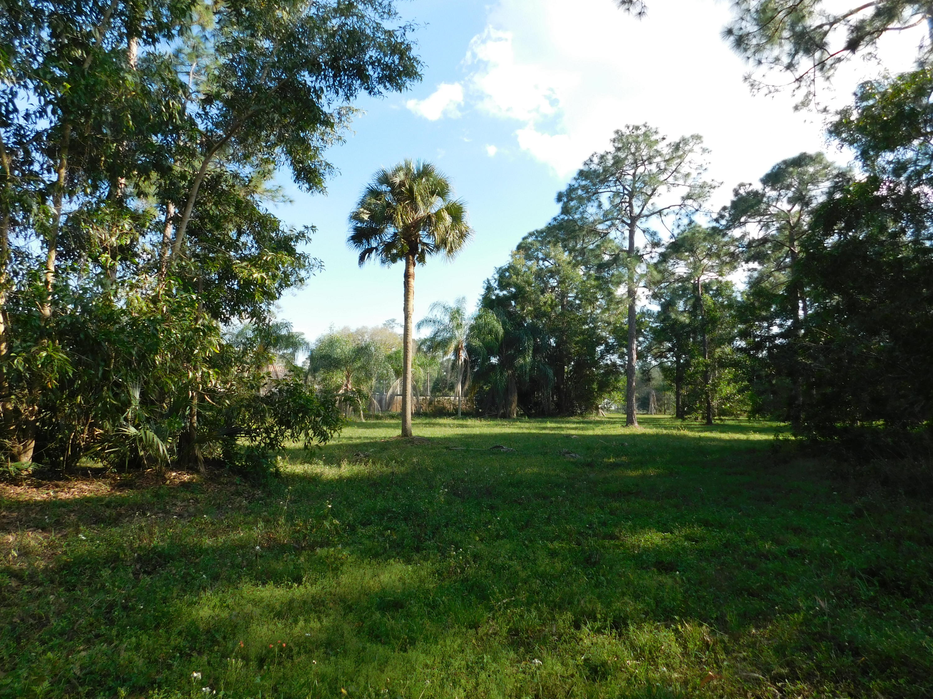 13387 17th Road North Loxahatchee Groves, FL 33470 - Photo 11 of 14 Beautiful Foliage