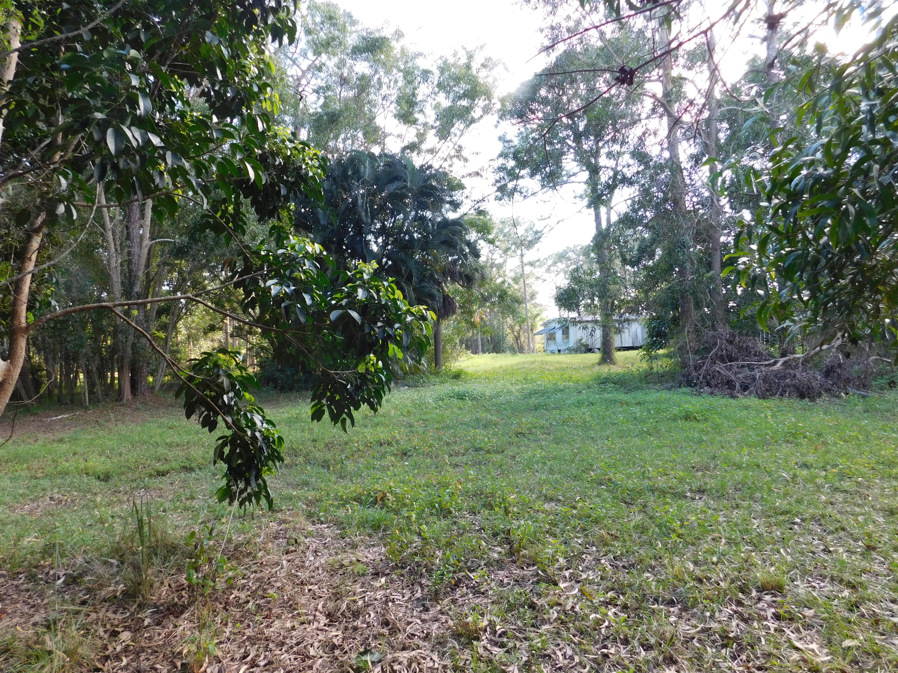13387 17th Road North Loxahatchee Groves, FL 33470 - Photo 12 of 14 Utilities available