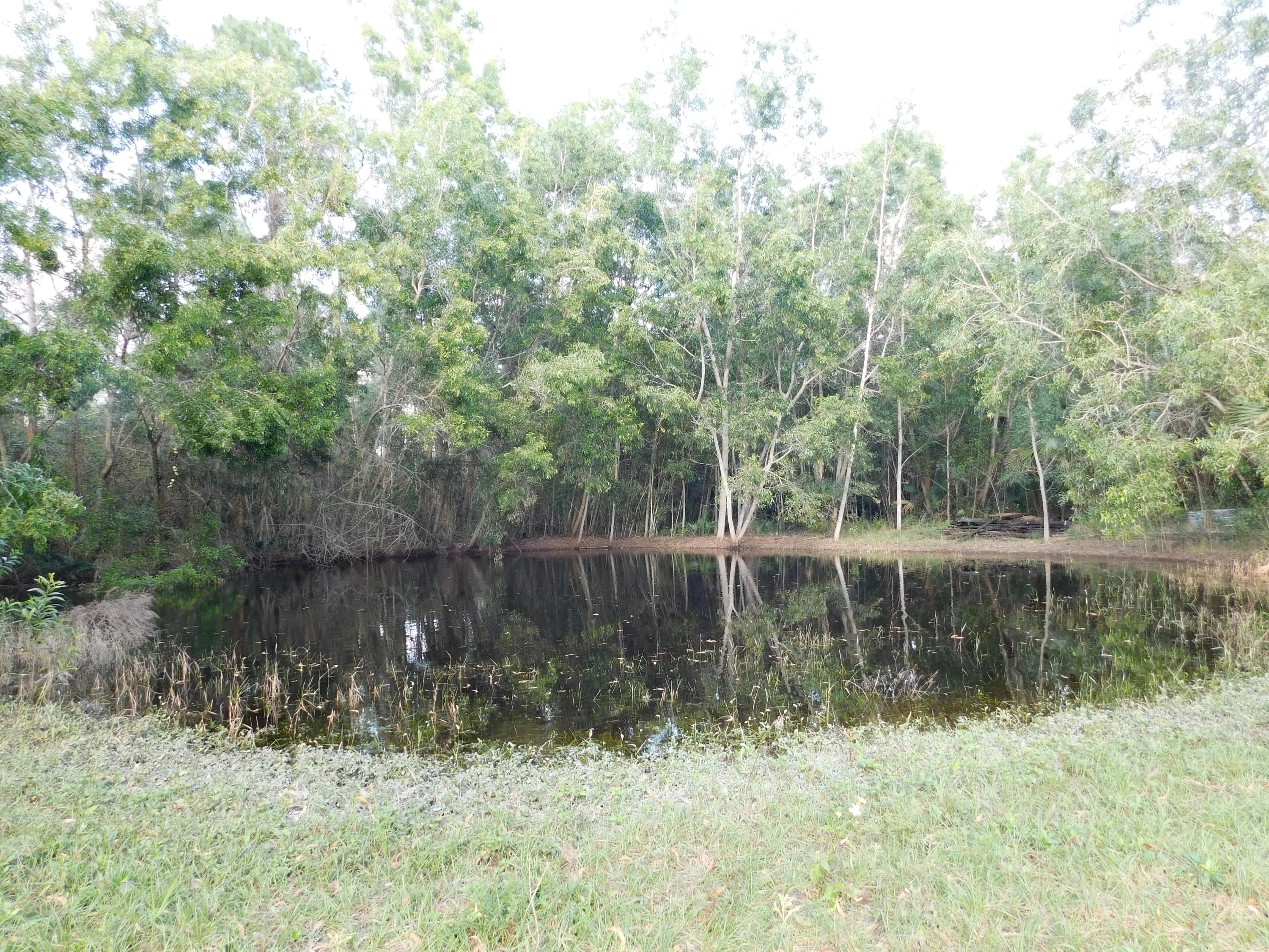 13387 17th Road North Loxahatchee Groves, FL 33470 - Photo 14 of 14 Small pond at back of property