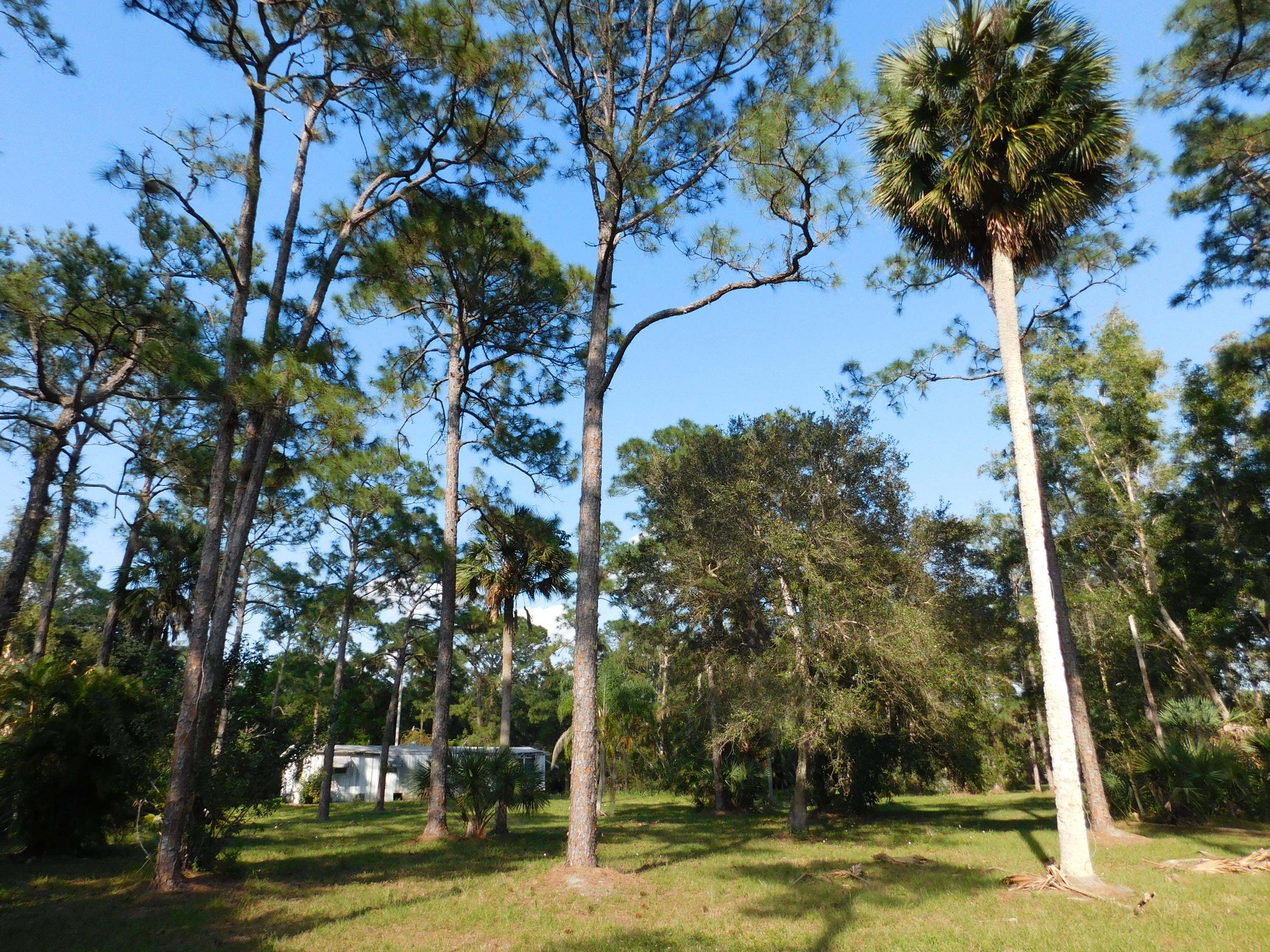 13387 17th Road North Loxahatchee Groves, FL 33470 - Photo 3 of 14 Electric and H2O